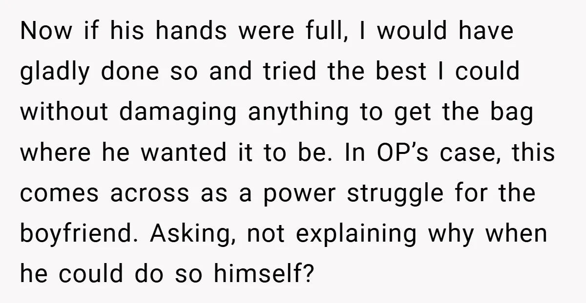 Now if his hands were full, I would have gladly done so and tried the best I could without damaging anything to get the bag where he wanted it to...