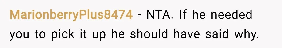MarionberryPlus8474 − NTA. If he needed you to pick it up he should have said why.