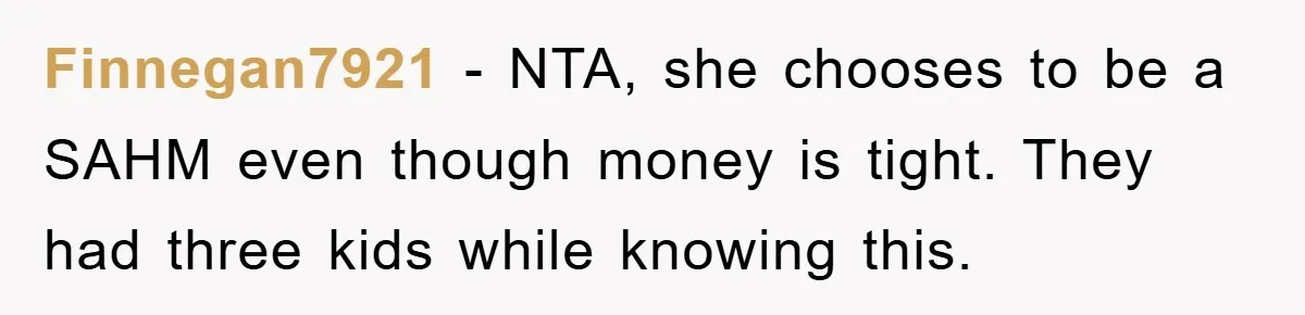 Finnegan7921 − NTA, she chooses to be a SAHM even though money is tight. They had three kids while knowing this.