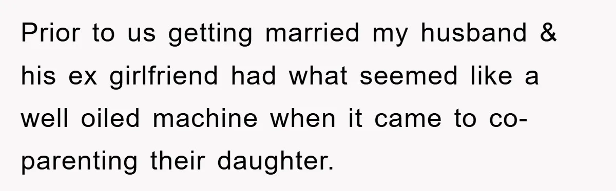 Prior to us getting married my husband & his ex girlfriend had what seemed like a well oiled machine when it came to co-parenting their daughter.