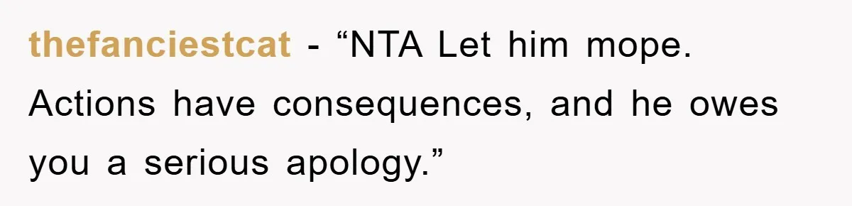 thefanciestcat - “NTA Let him mope. Actions have consequences, and he owes you a serious apology.”