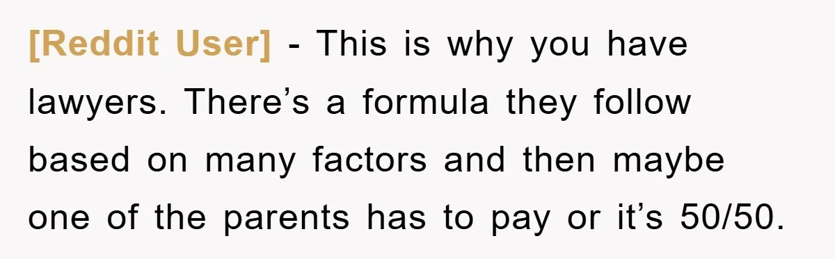 [Reddit User] − This is why you have lawyers. There’s a formula they follow based on many factors and then maybe one of the parents has to pay or it’s...