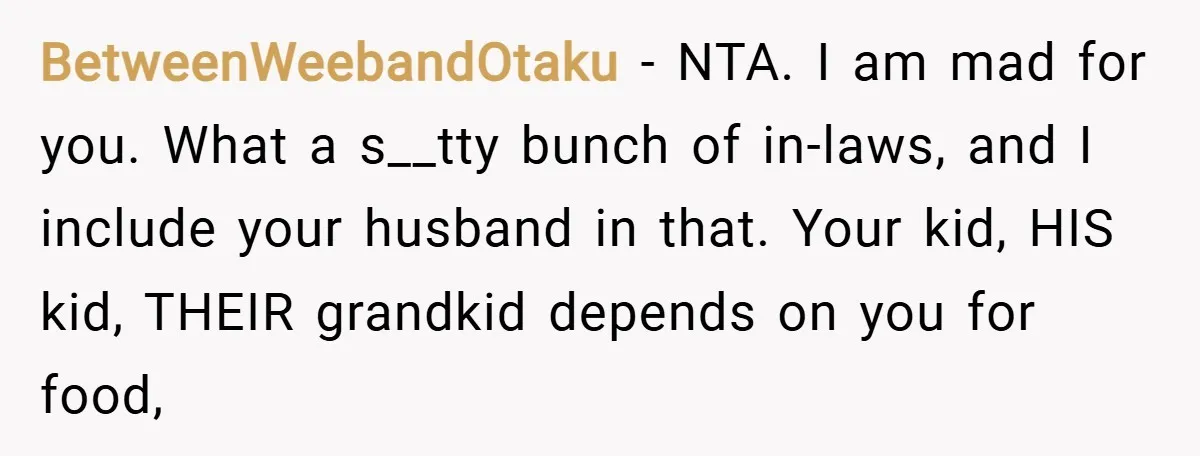 BetweenWeebandOtaku − NTA. I am mad for you. What a s__tty bunch of in-laws, and I include your husband in that. Your kid, HIS kid, THEIR grandkid depends on you...