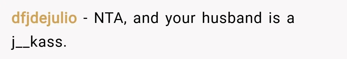 dfjdejulio − NTA, and your husband is a j__kass.
