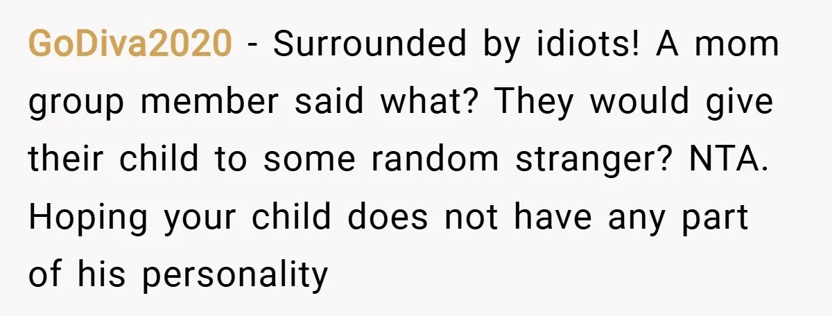 GoDiva2020 − Surrounded by idiots! A mom group member said what? They would give their child to some random stranger? NTA. Hoping your child does not have any part of...