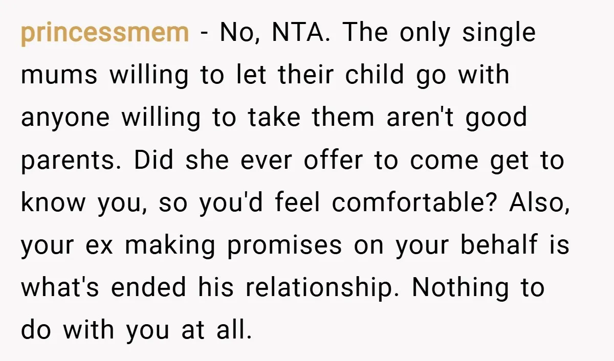 princessmem − No, NTA. The only single mums willing to let their child go with anyone willing to take them aren't good parents. Did she ever offer to come get...