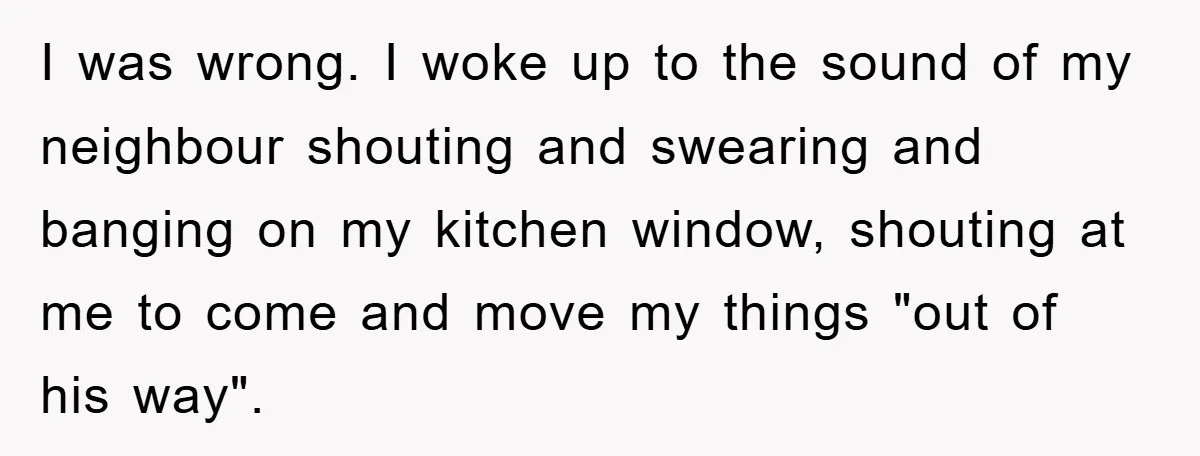 I was wrong. I woke up to the sound of my neighbour shouting and swearing and banging on my kitchen window, shouting at me to come and move my things...