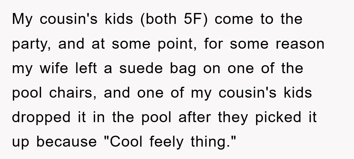 My cousin's kids (both 5F) come to the party, and at some point, for some reason my wife left a suede bag on one of the pool chairs, and one...