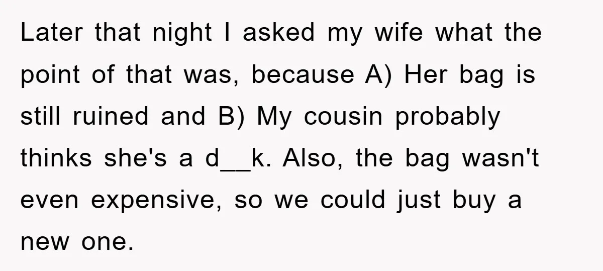 Later that night I asked my wife what the point of that was, because A) Her bag is still ruined and B) My cousin probably thinks she's a d__k. Also,...