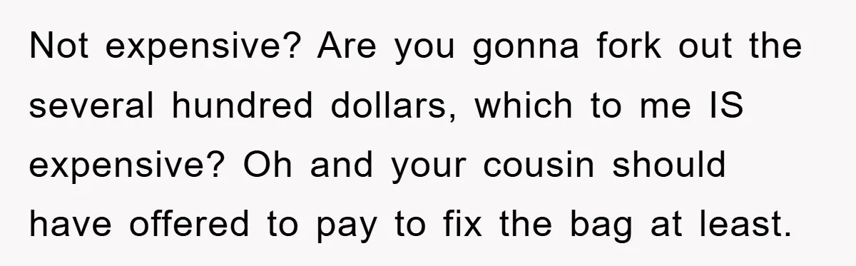 Not expensive? Are you gonna fork out the several hundred dollars, which to me IS expensive? Oh and your cousin should have offered to pay to fix the bag at...