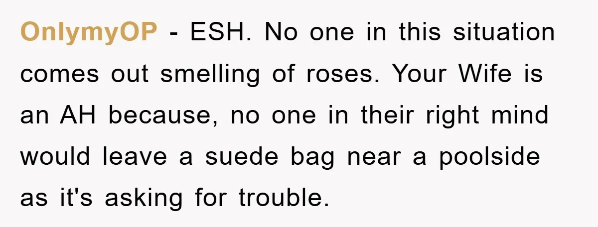 OnlymyOP − ESH. No one in this situation comes out smelling of roses. Your Wife is an AH because, no one in their right mind would leave a suede bag...