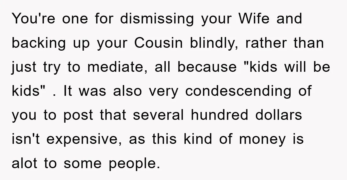 You're one for dismissing your Wife and backing up your Cousin blindly, rather than just try to mediate, all because "kids will be kids" . It was also very condescending...