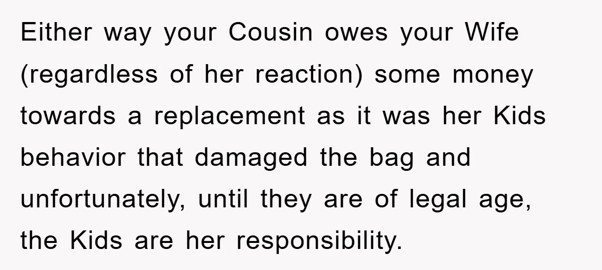 Either way your Cousin owes your Wife (regardless of her reaction) some money towards a replacement as it was her Kids behavior that damaged the bag and unfortunately, until they...