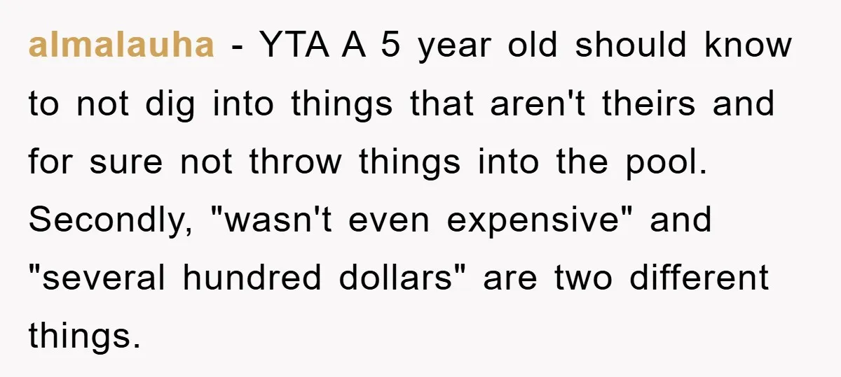 almalauha − YTA A 5 year old should know to not dig into things that aren't theirs and for sure not throw things into the pool. Secondly, "wasn't even expensive"...