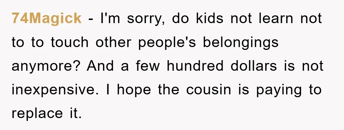 74Magick − I'm sorry, do kids not learn not to to touch other people's belongings anymore? And a few hundred dollars is not inexpensive. I hope the cousin is paying...