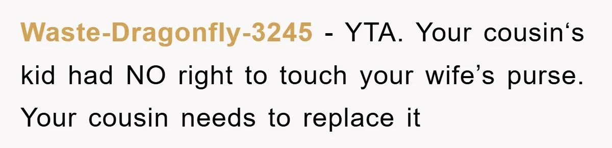 Waste-Dragonfly-3245 − YTA. Your cousin‘s kid had NO right to touch your wife’s purse. Your cousin needs to replace it