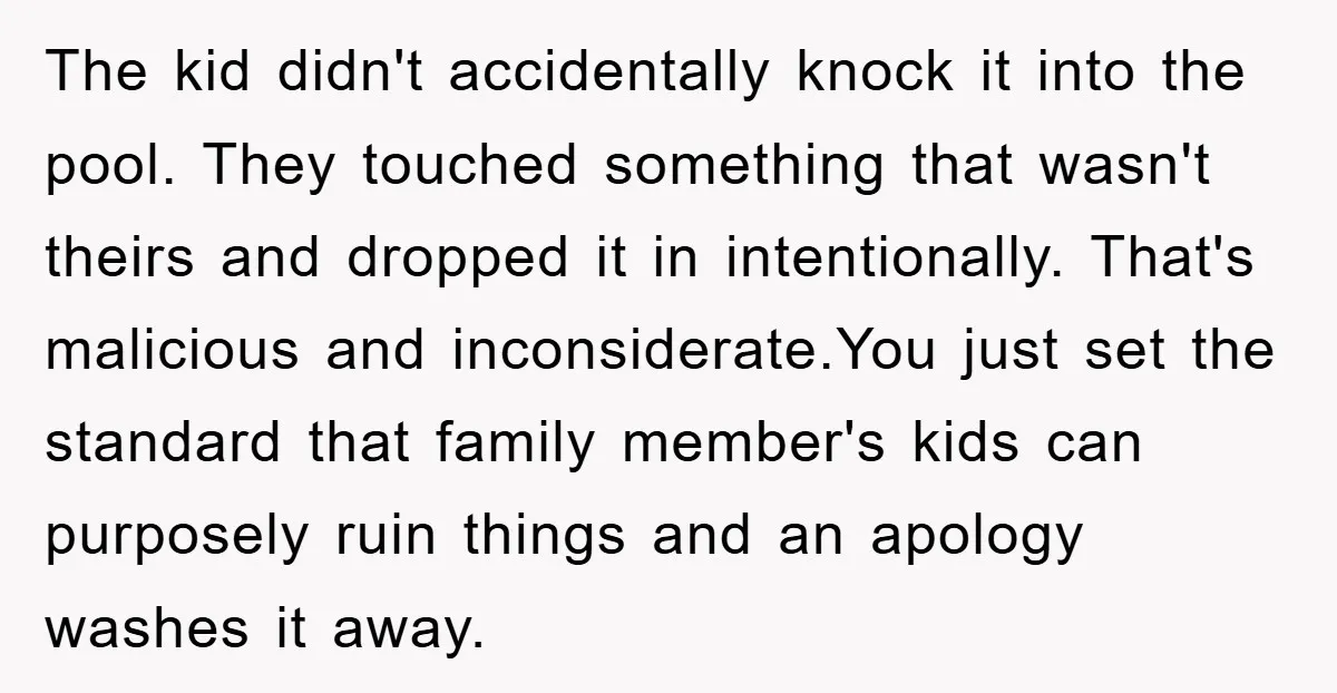 The kid didn't accidentally knock it into the pool. They touched something that wasn't theirs and dropped it in intentionally. That's malicious and inconsiderate.You just set the standard that family...
