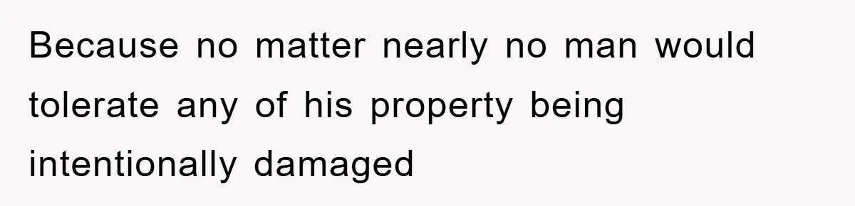 Because no matter nearly no man would tolerate any of his property being intentionally damaged