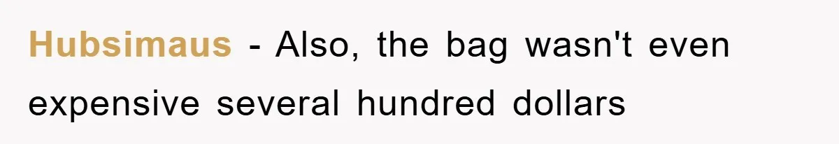 Hubsimaus − Also, the bag wasn't even expensive several hundred dollars