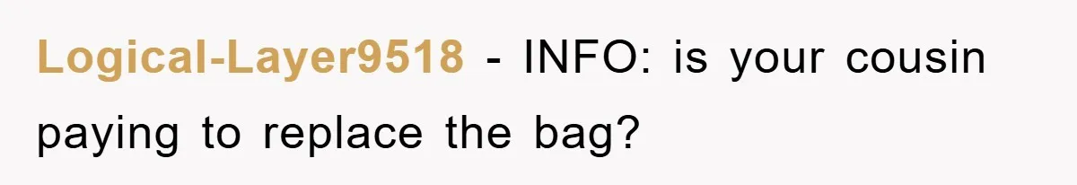 Logical-Layer9518 − INFO: is your cousin paying to replace the bag?