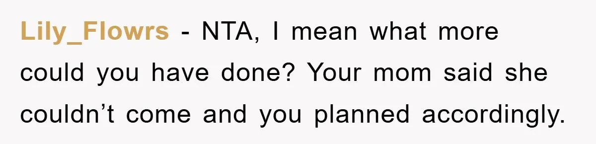 Lily_Flowrs − NTA, I mean what more could you have done? Your mom said she couldn’t come and you planned accordingly.
