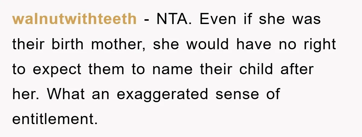 walnutwithteeth − NTA. Even if she was their birth mother, she would have no right to expect them to name their child after her. What an exaggerated sense of entitlement.