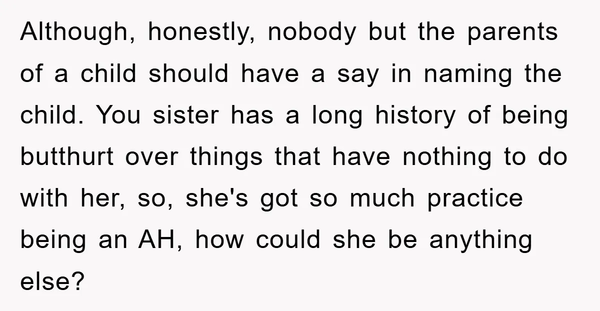 Although, honestly, nobody but the parents of a child should have a say in naming the child. You sister has a long history of being butthurt over things that have...