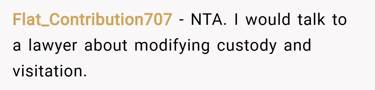 Flat_Contribution707 − NTA. I would talk to a lawyer about modifying custody and visitation.