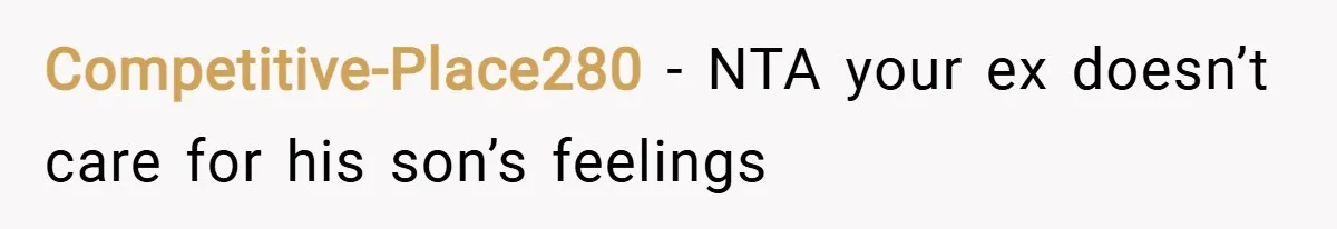 Competitive-Place280 − NTA your ex doesn’t care for his son’s feelings