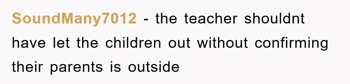 SoundMany7012 − the teacher shouldnt have let the children out without confirming their parents is outside