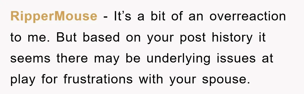 RipperMouse − It’s a bit of an overreaction to me. But based on your post history it seems there may be underlying issues at play for frustrations with your spouse.