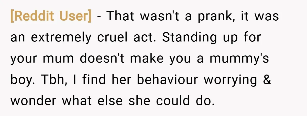 [Reddit User] − That wasn't a prank, it was an extremely cruel act. Standing up for your mum doesn't make you a mummy's boy. Tbh, I find her behaviour worrying...