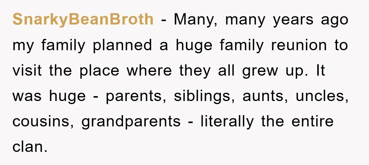 SnarkyBeanBroth − Many, many years ago my family planned a huge family reunion to visit the place where they all grew up. It was huge - parents, siblings, aunts, uncles,...