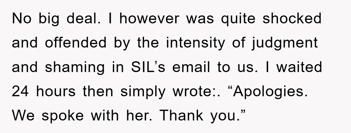 No big deal. I however was quite shocked and offended by the intensity of judgment and shaming in SIL’s email to us. I waited 24 hours then simply wrote:. “Apologies....