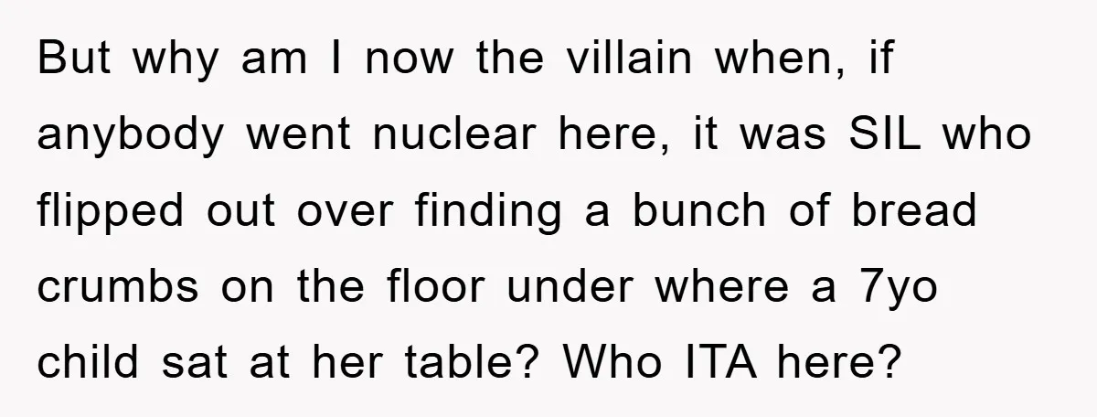 But why am I now the villain when, if anybody went nuclear here, it was SIL who flipped out over finding a bunch of bread crumbs on the floor under...