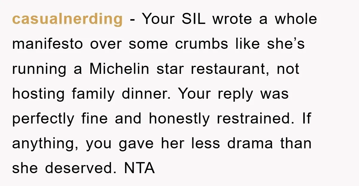 casualnerding − Your SIL wrote a whole manifesto over some crumbs like she’s running a Michelin star restaurant, not hosting family dinner. Your reply was perfectly fine and honestly restrained....