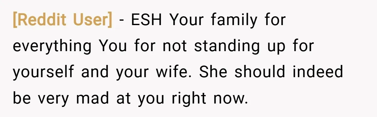 [Reddit User] − ESH Your family for everything You for not standing up for yourself and your wife. She should indeed be very mad at you right now.