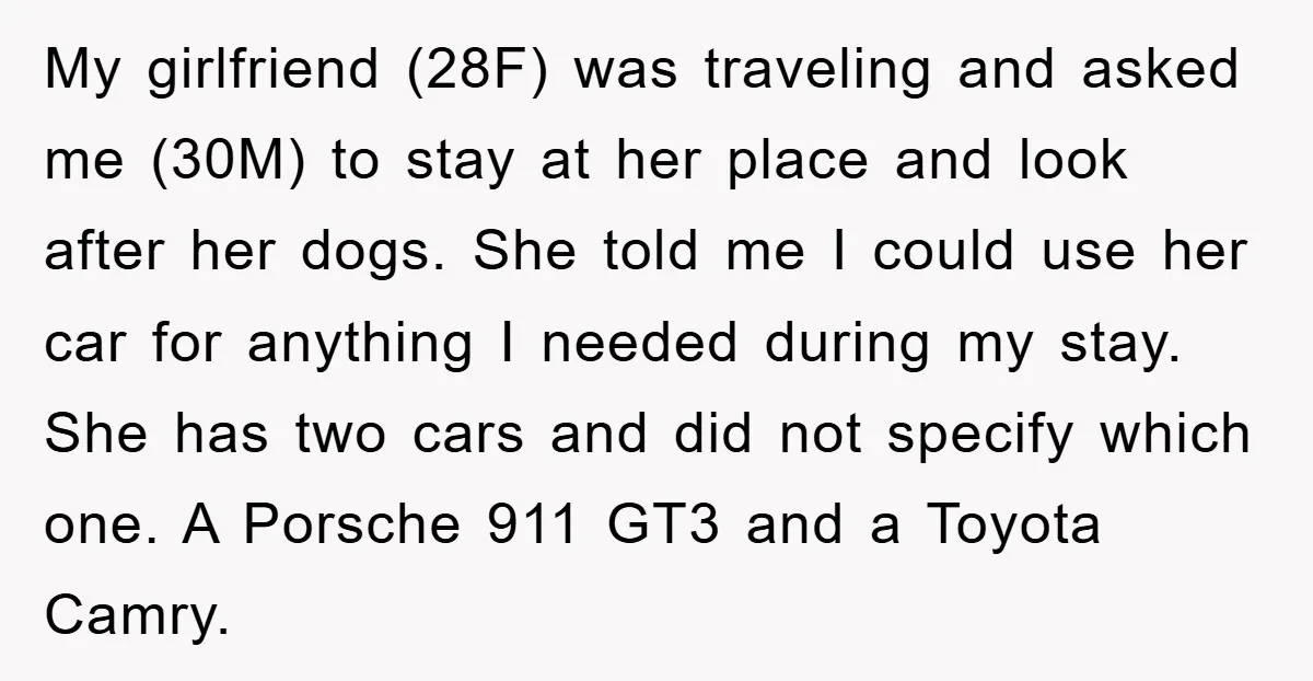 My girlfriend (28F) was traveling and asked me (30M) to stay at her place and look after her dogs. She told me I could use her car for anything I...