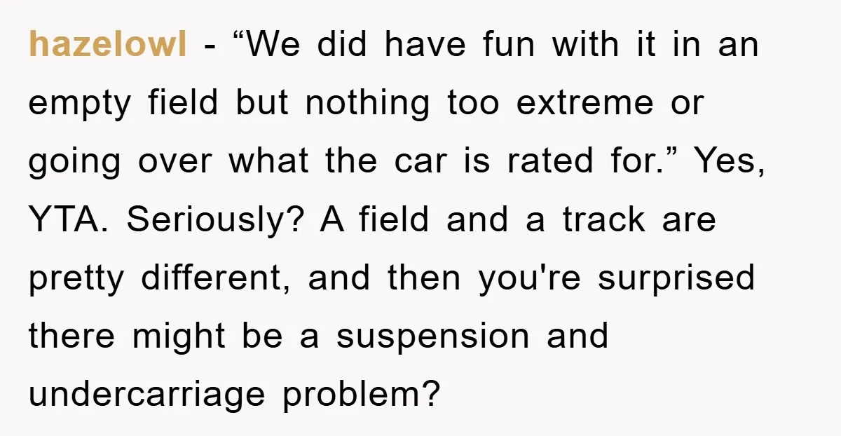 hazelowl − “We did have fun with it in an empty field but nothing too extreme or going over what the car is rated for.” Yes, YTA. Seriously? A field...
