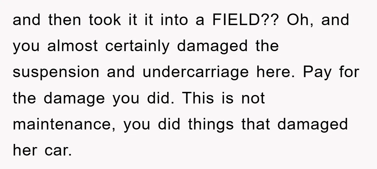 and then took it it into a FIELD?? Oh, and you almost certainly damaged the suspension and undercarriage here. Pay for the damage you did. This is not maintenance, you...
