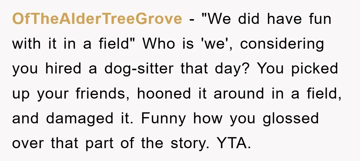 OfTheAlderTreeGrove − "We did have fun with it in a field" Who is 'we', considering you hired a dog-sitter that day? You picked up your friends, hooned it around in...