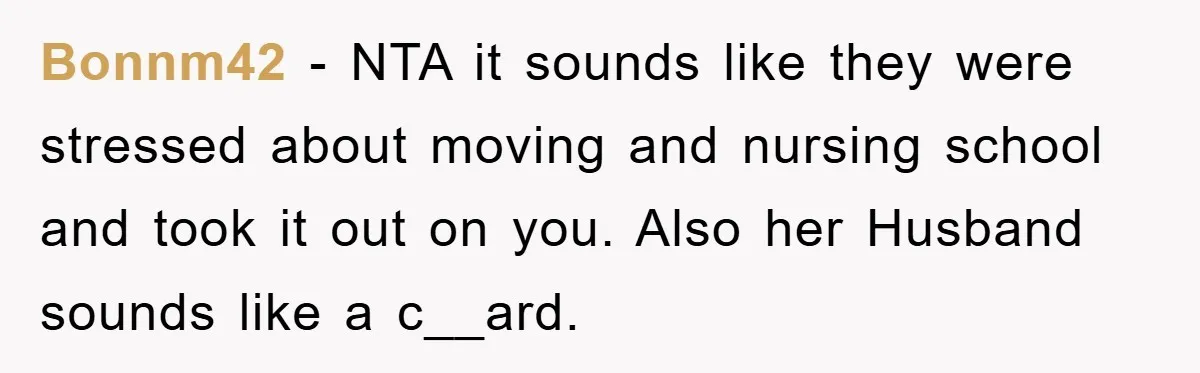 Bonnm42 − NTA it sounds like they were stressed about moving and nursing school and took it out on you. Also her Husband sounds like a c__ard.