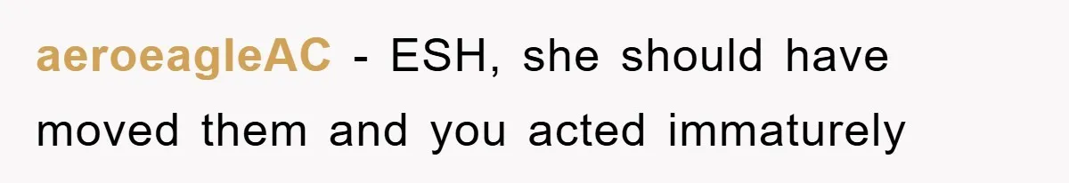 aeroeagleAC − ESH, she should have moved them and you acted immaturely