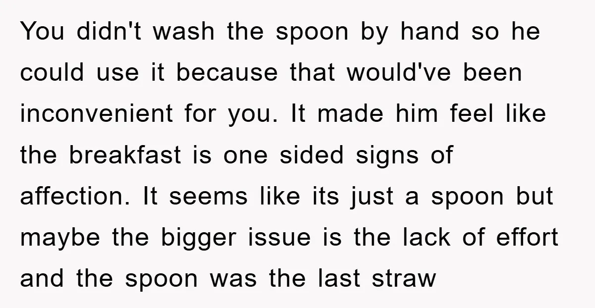 You didn't wash the spoon by hand so he could use it because that would've been inconvenient for you. It made him feel like the breakfast is one sided signs...