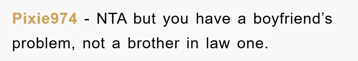 Pixie974 − NTA but you have a boyfriend’s problem, not a brother in law one.