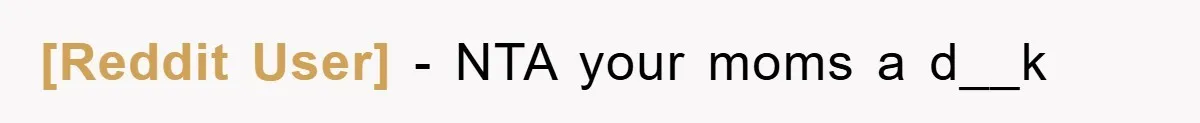 [Reddit User] − NTA your moms a d__k