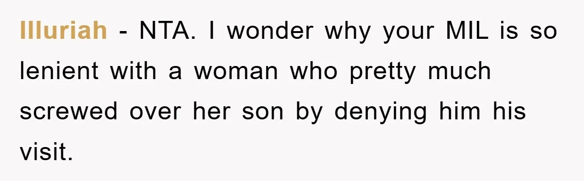 Illuriah − NTA. I wonder why your MIL is so lenient with a woman who pretty much screwed over her son by denying him his visit.