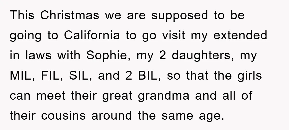This Christmas we are supposed to be going to California to go visit my extended in laws with Sophie, my 2 daughters, my MIL, FIL, SIL, and 2 BIL, so...