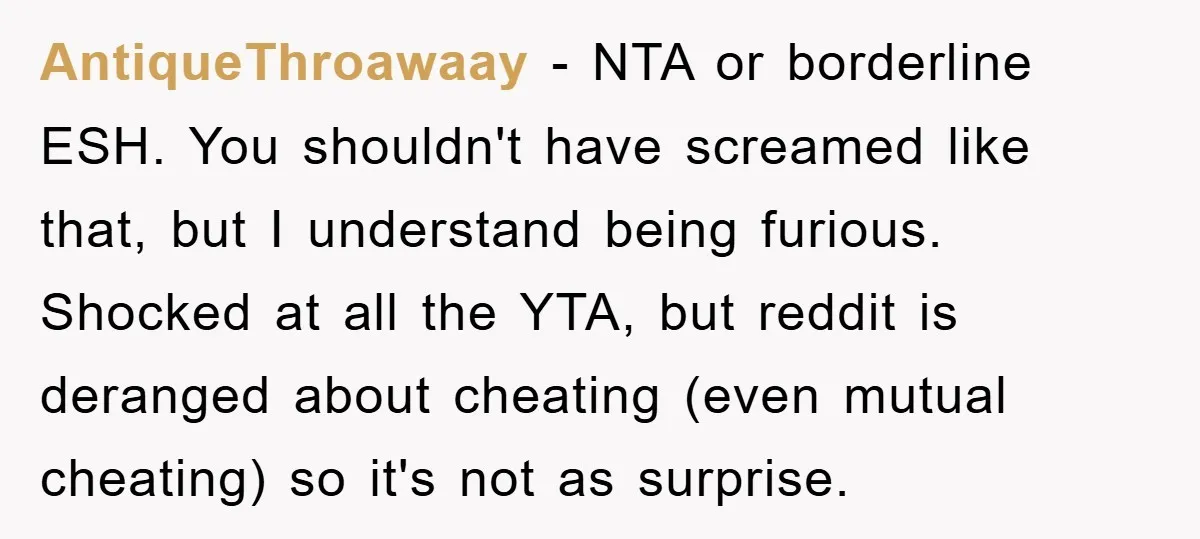 AntiqueThroawaay − NTA or borderline ESH. You shouldn't have screamed like that, but I understand being furious. Shocked at all the YTA, but reddit is deranged about cheating (even mutual...