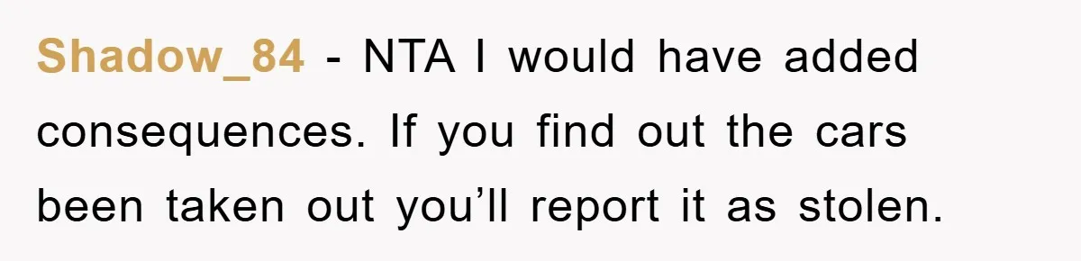 Shadow_84 − NTA I would have added consequences. If you find out the cars been taken out you’ll report it as stolen.